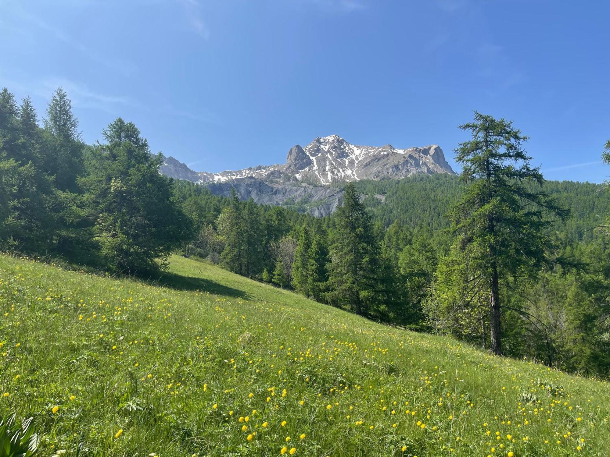 Apartamento Le Sauze *
